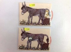 Felicitari hazlii cu magarus