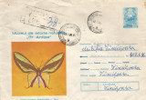 Romania, Ornithoptera Paradisea, plic circulat intern, 1978