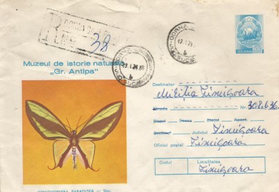 Romania, Ornithoptera Paradisea, plic circulat intern, 1978 foto