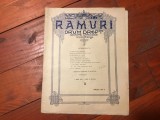 Revista Ramuri Drum Drept anul XVII nr 5 / 1 martie 1923 !