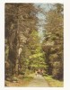 SG2-Carte Postala-Germania-DDR-Sachsische Schweis &nbsp;im Kohlgrund. neirculata 1983, Circulata, Fotografie