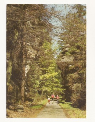 SG2-Carte Postala-Germania-DDR-Sachsische Schweis &amp;nbsp;im Kohlgrund. neirculata 1983 foto