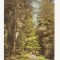 SG2-Carte Postala-Germania-DDR-Sachsische Schweis &nbsp;im Kohlgrund. neirculata 1983