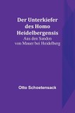 Der Unterkiefer des Homo Heidelbergensis: Aus den Sanden von Mauer bei Heidelberg