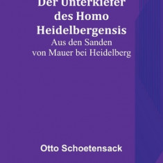 Der Unterkiefer des Homo Heidelbergensis: Aus den Sanden von Mauer bei Heidelberg