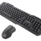 Kit Tastatură și Mouse Wireless USB Negru - Layout US