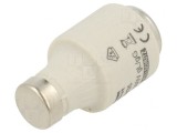 Siguranță Industrială gG 35A 500V