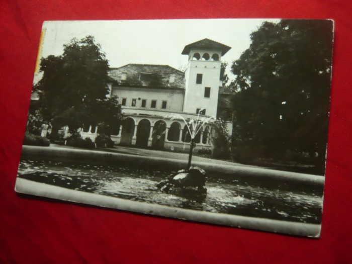 Ilustrata Turnu Magurele - aspecte din parc ,circulat 1963