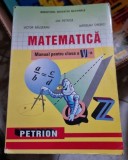 MATEMATICA MANUAL PENTRU CLASA A VI-A - ION PETRICA