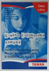 LIMBA SI LITERATURA ROMANA , EXERCITII RECAPITULATIVE ...CLASA A - VI -A de SOFIA DOBRA ...ILEANA SANDA , 2013