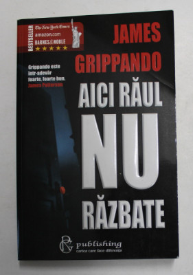 AICI RAUL NU RAZBATE de JAMES GRIPPANDO , 2006 foto