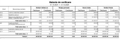Vand Firma SRL Agentii Imobiliare pe profit foto