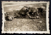 P.063 FOTOGRAFIE RAZBOI WWII SERBIEN SERBIA MISTRETI DEVORAND UN CADAVRU DE CAL