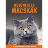 K&uuml;l&ouml;nleges macsk&aacute;k - 35 macskafajta bemutat&aacute;sa - G&eacute;czi Zolt&aacute;n