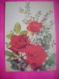 HOPCT 11400 TRANDAFIRI-RUSIA -CP FELICITARE FLORI- -NECIRCULATA