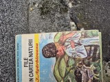 File din cartea naturii vintage