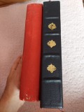 Buridan /roman foileton/fascicole.