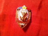 Insigna - AVSAP RPR ASOCIATIA VOLUNTARILOR IN SPRIJINUL APARARII PATRIEI , metal si email , h=3,7cm