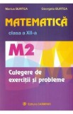 Matematica - Clasa 12 M2 - Culegere de exercitii si probleme - Marius Burtea, Georgeta Burtea