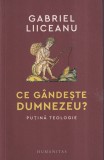 Gabriel Liiceanu - Ce gandeste Dumnezeu? Putina teologie