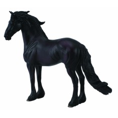 Armasar Friesian - Collecta