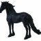 Armasar Friesian - Collecta