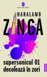 Supersonicul 01 decoleaza in zori | Haralamb Zinca, Publisol