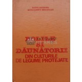 Bolile si daunatorii din culturile de legume protejate - 1982 - Cristina Raicu (I73)