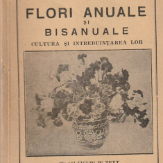 NICOLAE IACOBI - FLORI ANUALE SI BISANUALE (CULTURA SI INTREBUINTAREA LOR) 1932