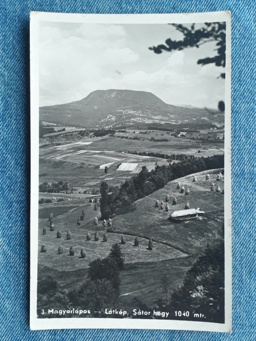313 - Targu Lapus - Maramures/ Magyarlapos Latkep ,Sator hegy / necirculata