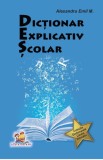 Dictionar explicativ scolar - Alexandru Andrei - Editura Lizuka Educativ