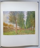 ALFRED SISLEY by MARY ANNE STEVENS , 1992