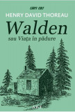 Walden - Hardcover - Henry David Thoreau - Art, 2020