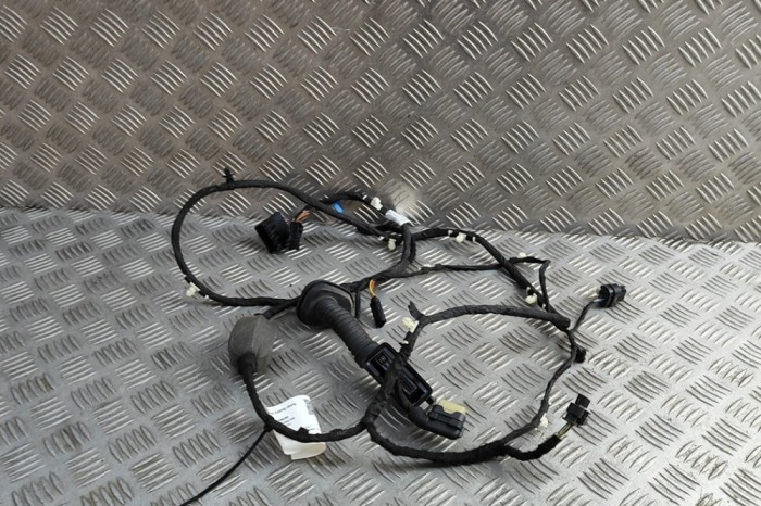 Cablaj ușă st&acirc;nga spate BMW X7 G07 2020 OEM: 8779824 31416639