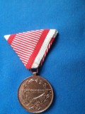 FORTITUDINI PENTRU SPRIJINUL ARMATEI AUSTROUNGARE IN RAZBOI 1914-1918 / AUSTRIA -4