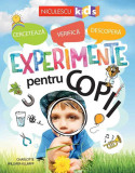 Experimente pentru copii: cercetează verifică descoperă