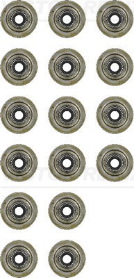 VICTOR REINZ 12-34836-01 Set garnituri, ax supape