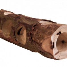 Tunel Lemn Natural 7x30 cm Rozatoare Mici 6131