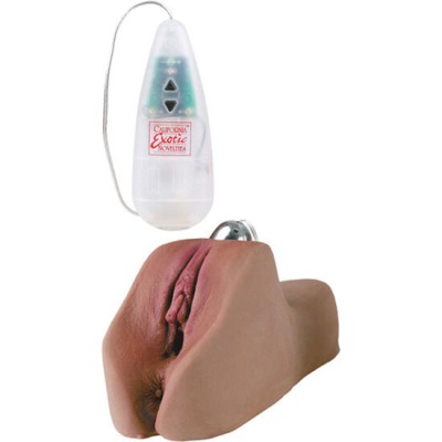 CALEXOTICS - FUTUROTIC VAGINA AND ANUS WITH VIBRATION foto
