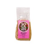 Condiment Mustar Seminte Solaris 150gr