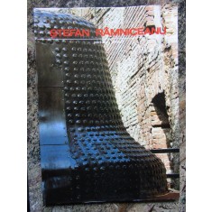 STEFAN RAMNICEANU : PICTURA - OBIECT , 1988
