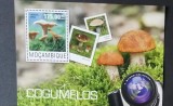 Ciuperci - Mozambic 2014 - Coliță Poștală Cantharellus cibarius CP1_II
