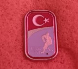 QW9 N5 49 - insigna - tematica hochei - Federatia de hochei pe ghiata din Turcia, Asia