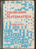 Probleme de matematica pentru gimnaziu - Ion Petrica/ Stefan Alexe/ Cornel Stefan