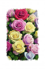 Sticker decorativ, Trandafiri, Multicolor, 85 cm, 9381ST foto