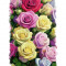 Sticker decorativ, Trandafiri, Multicolor, 85 cm, 9381ST