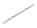 Bandă LED Alb Rece 24V IP20