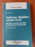 Inselaciune, delapidare, evaziune fiscala- Iulia Nistorica