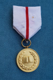 Medalia Meritul stiintific RSR