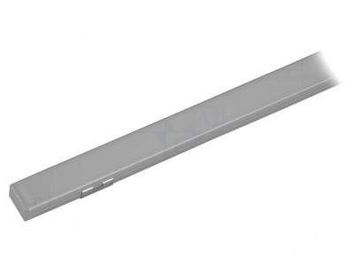 Profil Aluminiu Anodizat Argintiu pentru Module LED 2m foto